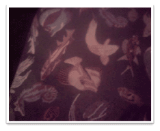 Picture of fish upolstery 